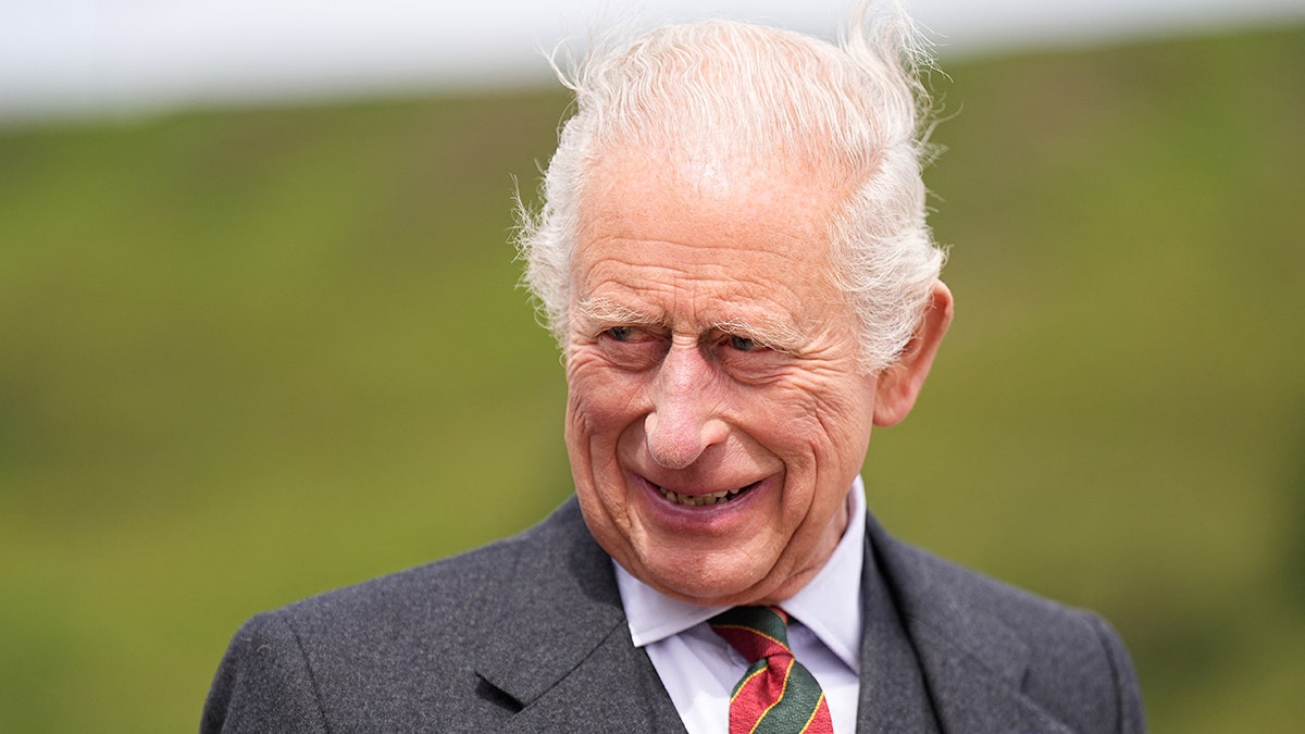 A close-up of King Charles smiling in a grey suit outdoors.