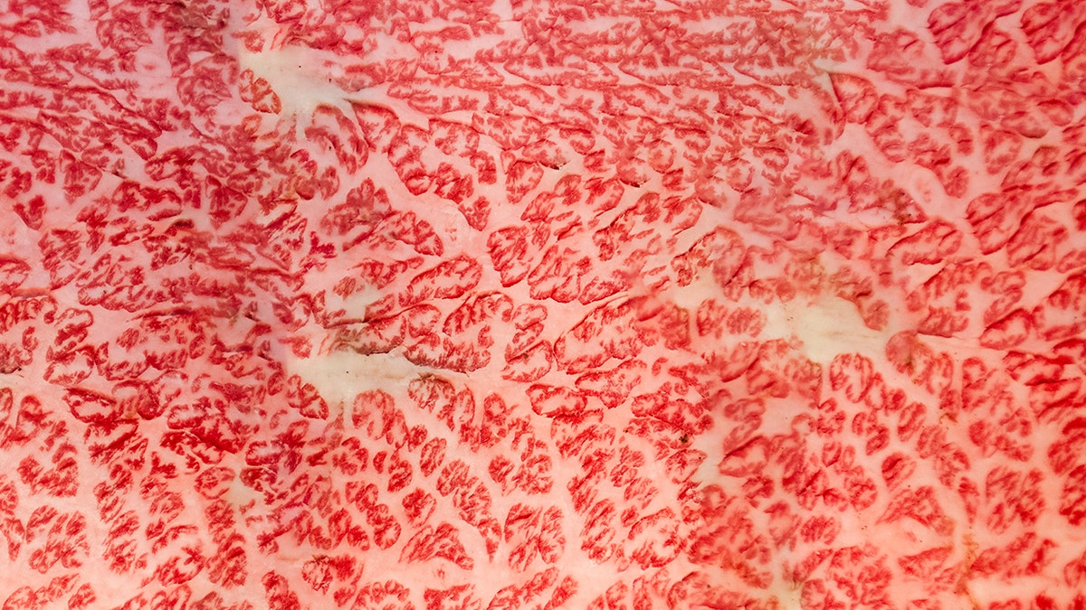 Close-up of wagyu marbling