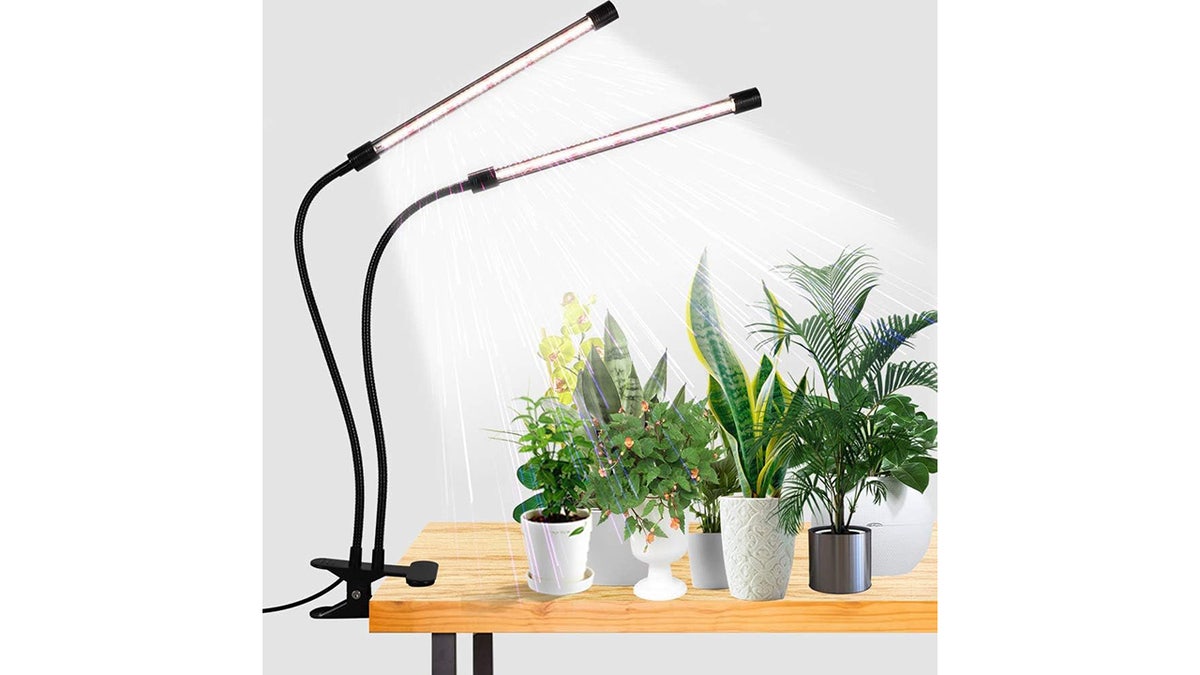 Grow plants inside with the help of an LED grow light.