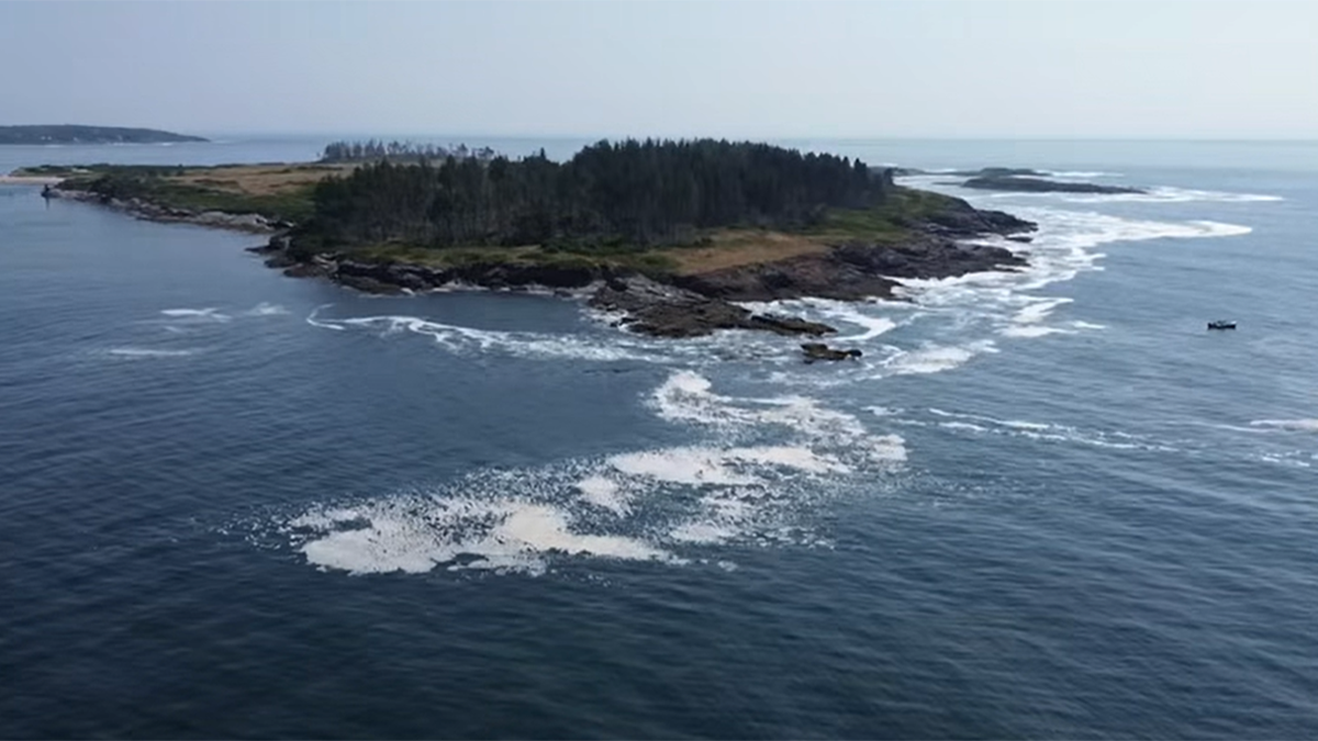 緬因州海岸