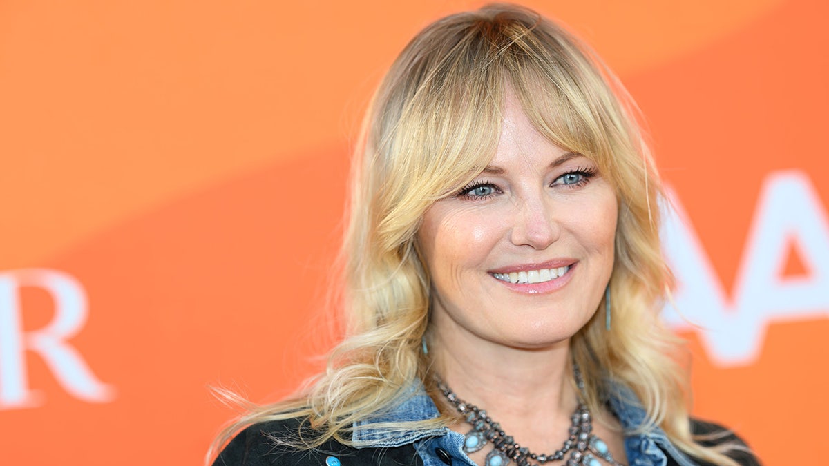 Malin Akerman red carpet