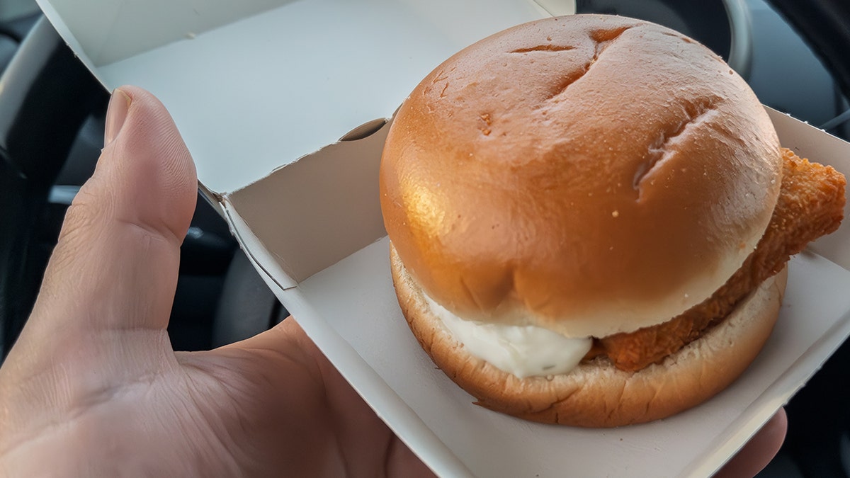 Hand holding fish fillet