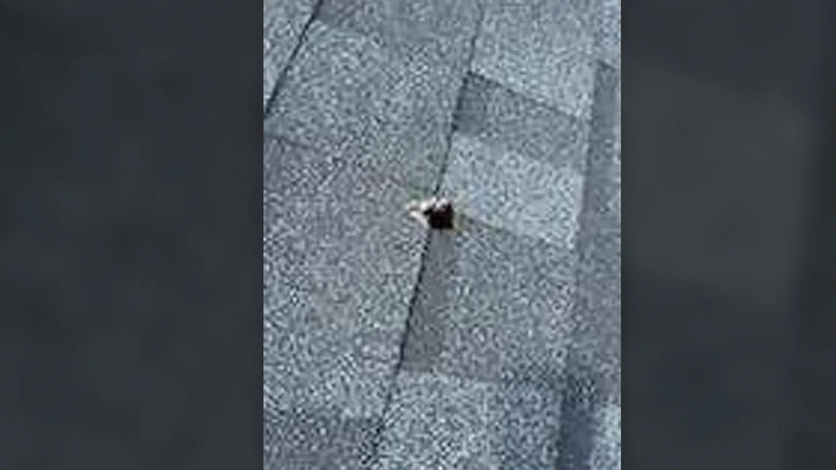 Hole left in roof by meteor fragment