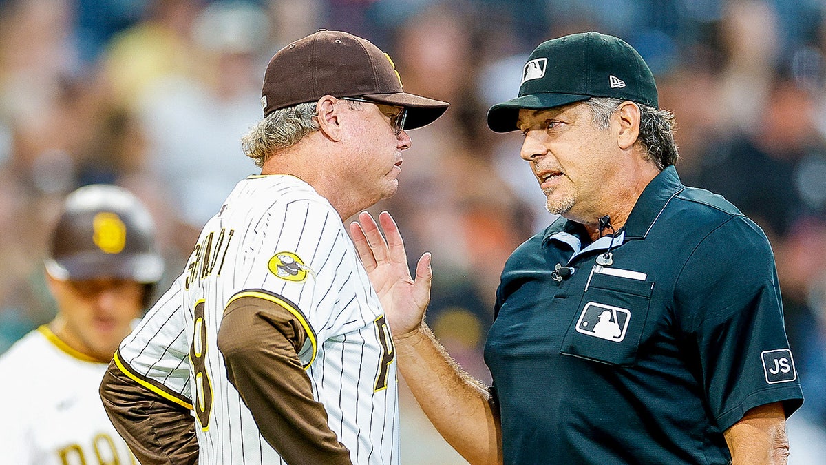 Mike Shildt speaks with home plate umpire, James Hoye