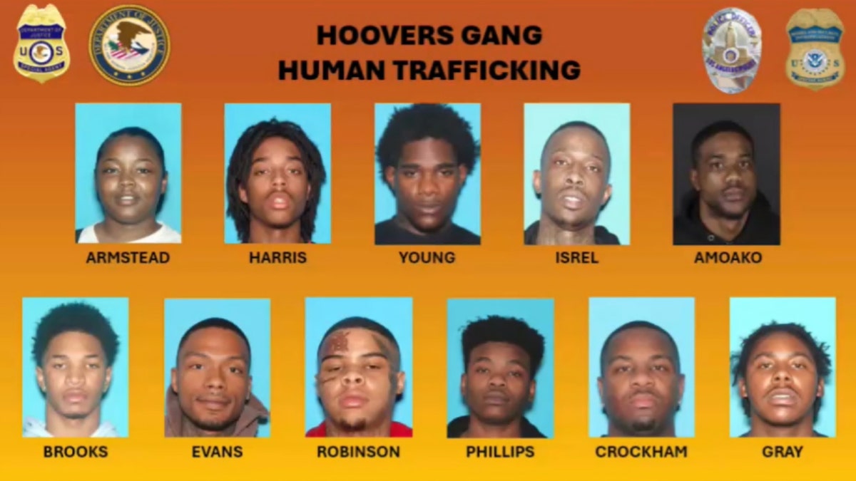 mugshots of several suspects