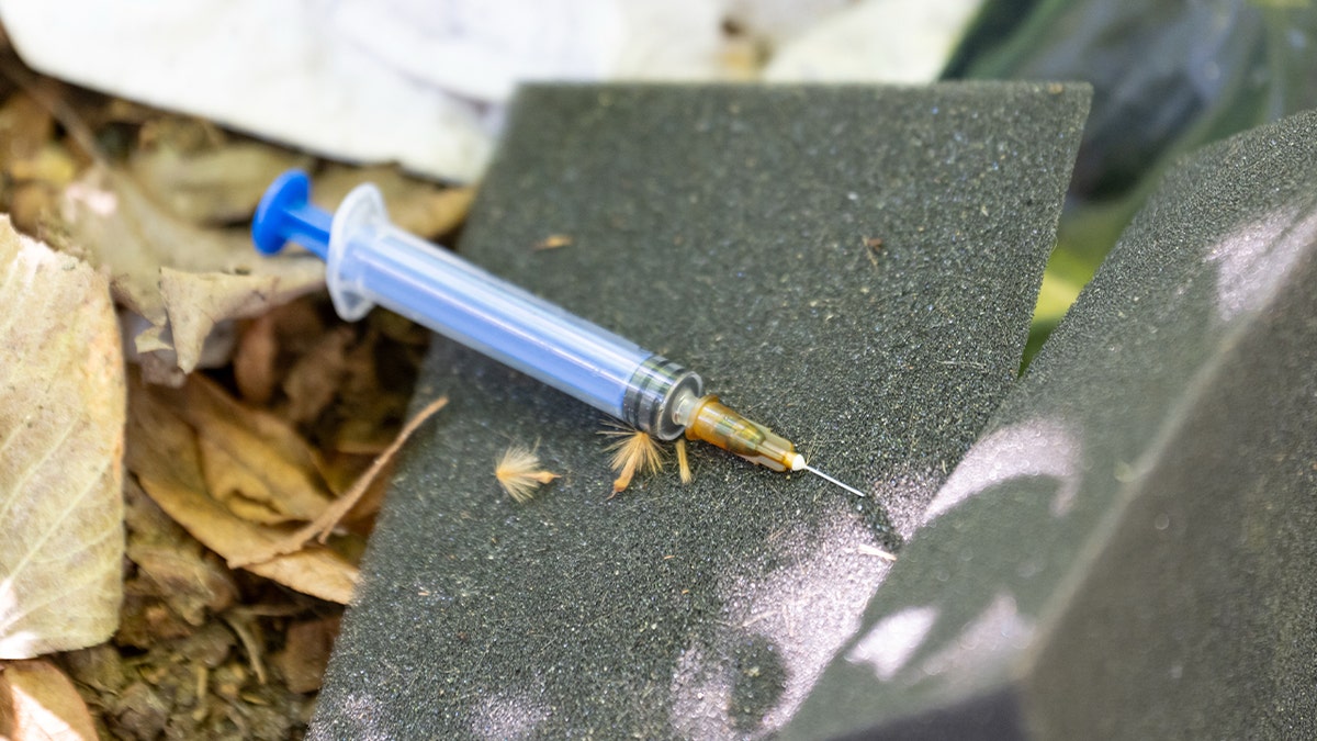 12 August 2025, Berlin: A syringe for drug use lies on the ground on a grass verge in Berlin-Kreuzberg. Photo: Fabian Sommer/dpa (Photo by Fabian Sommer/picture alliance via Getty Images)
