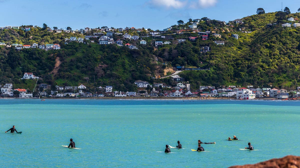 new zealand golden visa program 