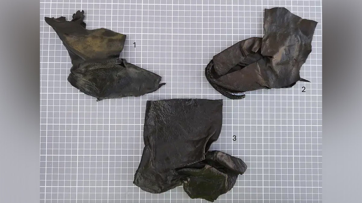 Spread of leather shoes on display