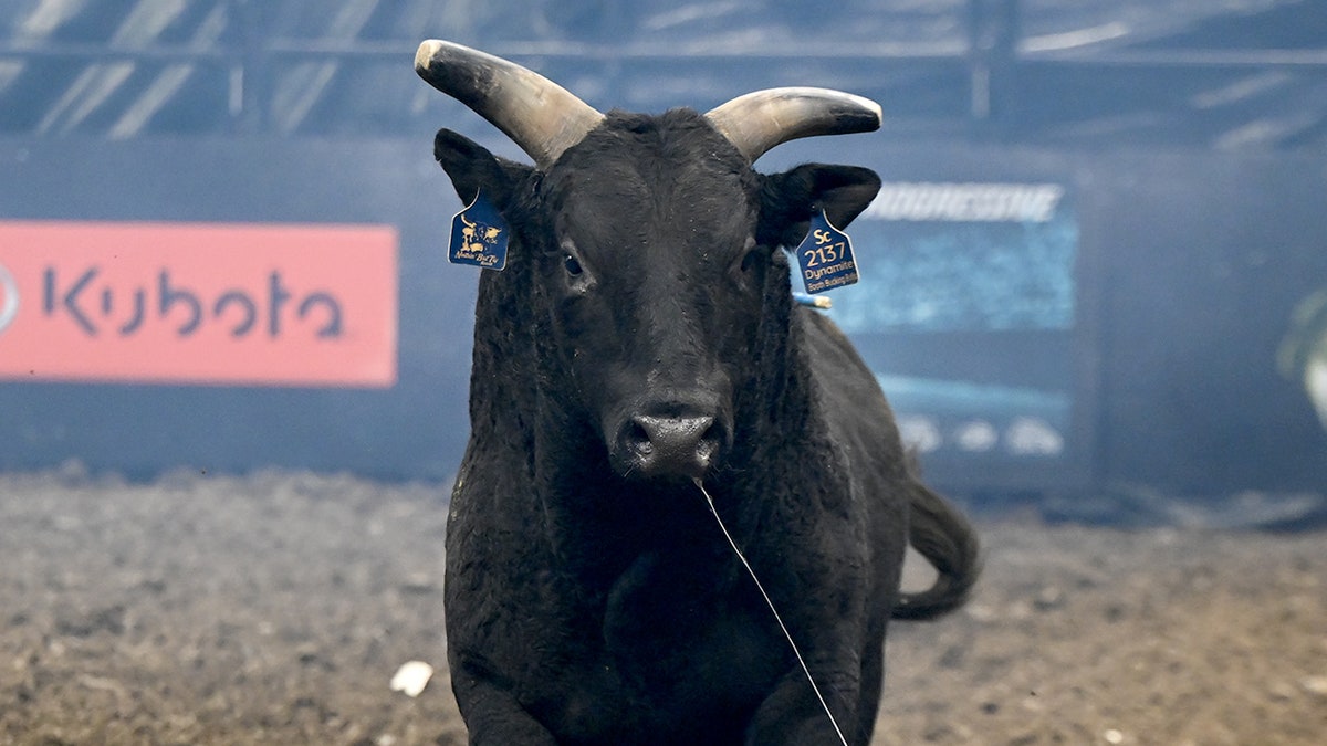 Wydarzenie PBR w lutym 2025 r.