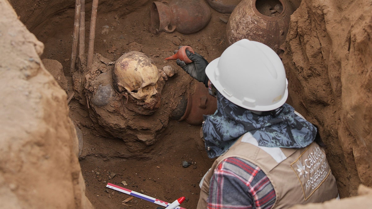 Worker brushing dirt off skeleton head