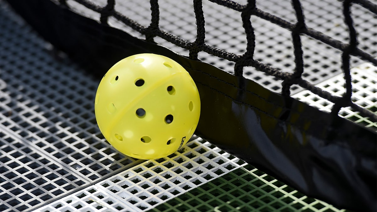 Pickleball in front of a net