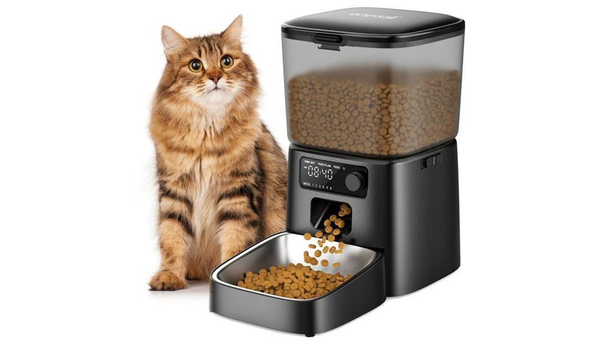 Ensure all your cats are fed on time with an automatic cat feeder.
