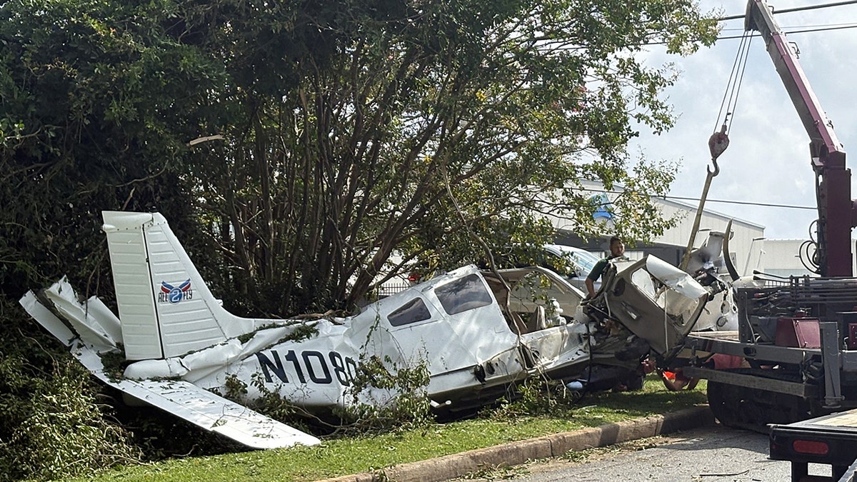 small plane wreckage near tree