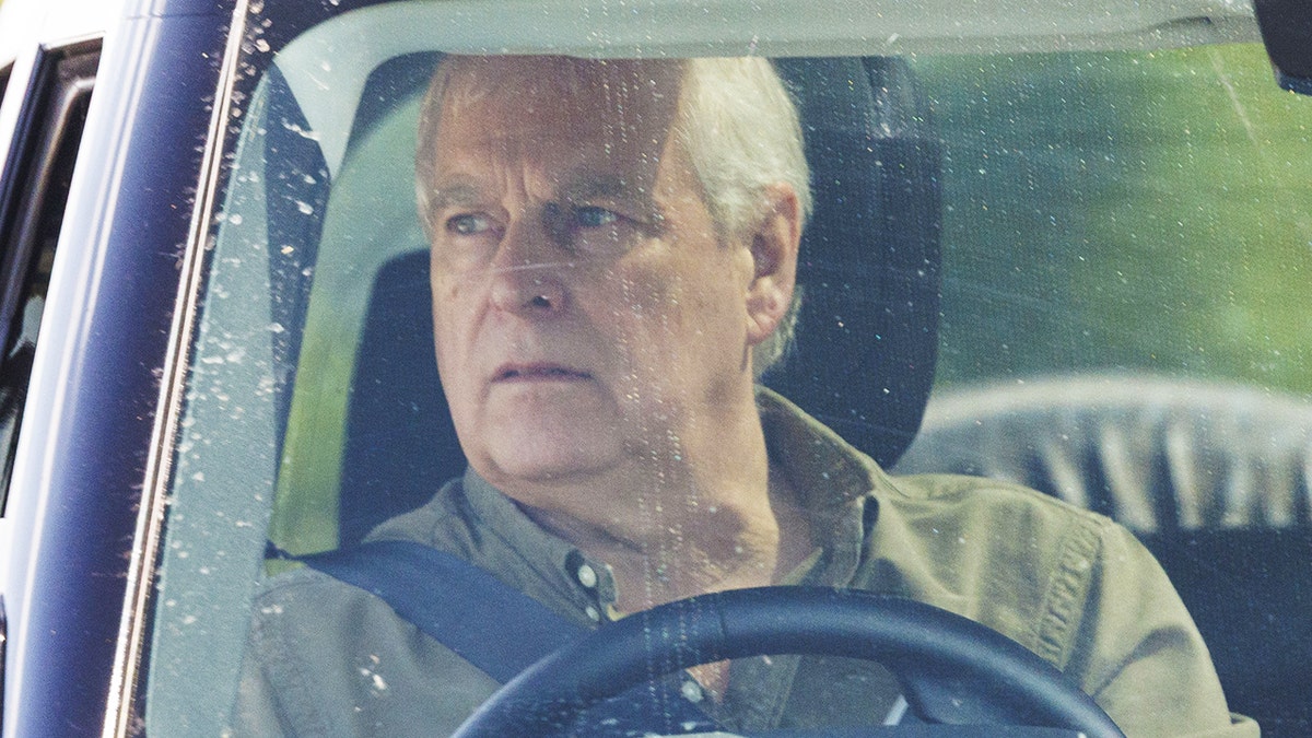A close-up of a concerned Prince Andrew wearing a green button down shirt driving a car.