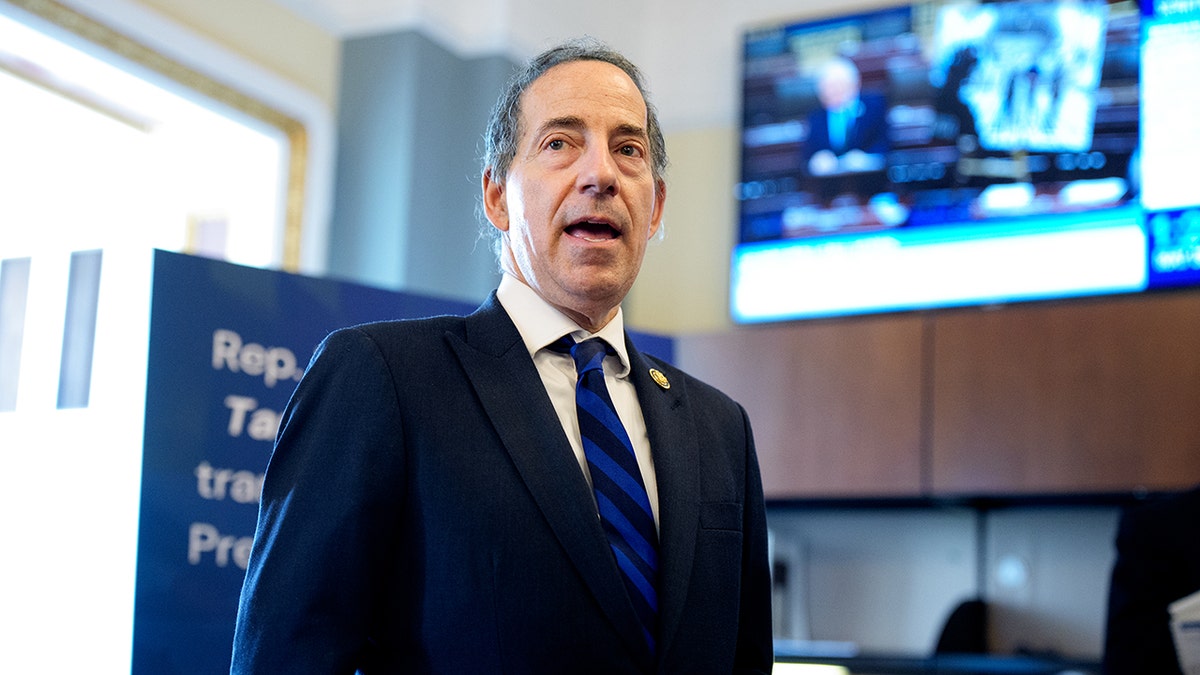 Raskin on Capitol Hill