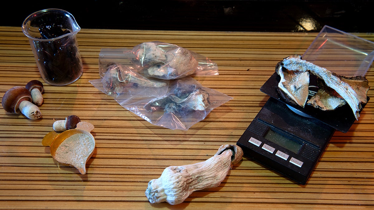 psilocybin mushroom weight and bag