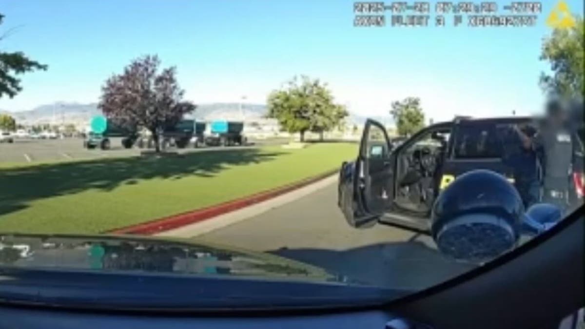 Renault police incident