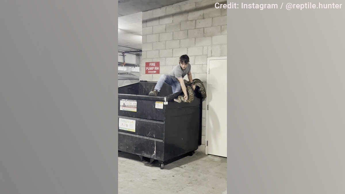 A local reptile hunter sprang into action to remove a 16-foot python from an apartment building dumpster in Los Angeles, noting the reptile had likely been abandoned there by a previous owner.