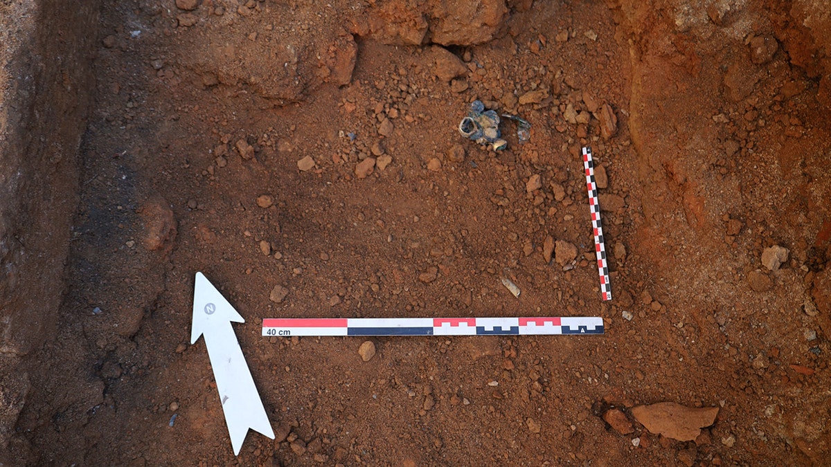 Archaeology markers at dig site