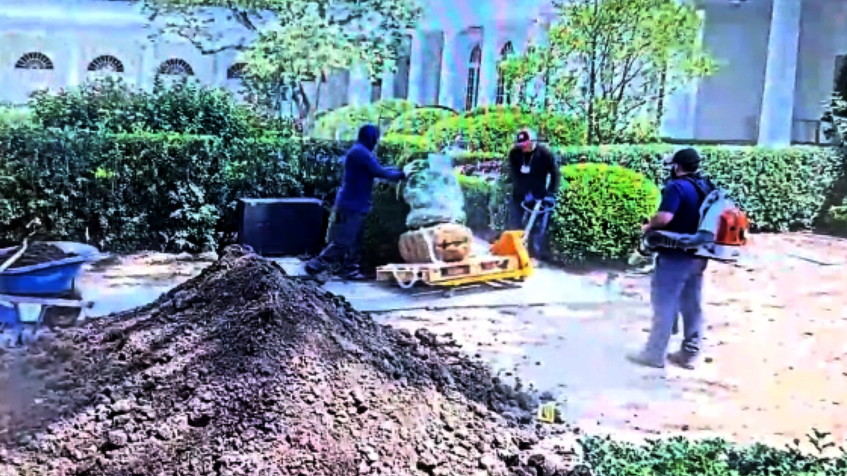 Video footage of the cart allegedly scratching the limestone.