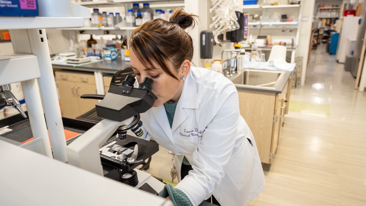 Scientist in lab