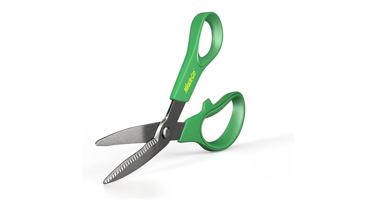 For more precise cutting, grab a pair of garden scissors. 