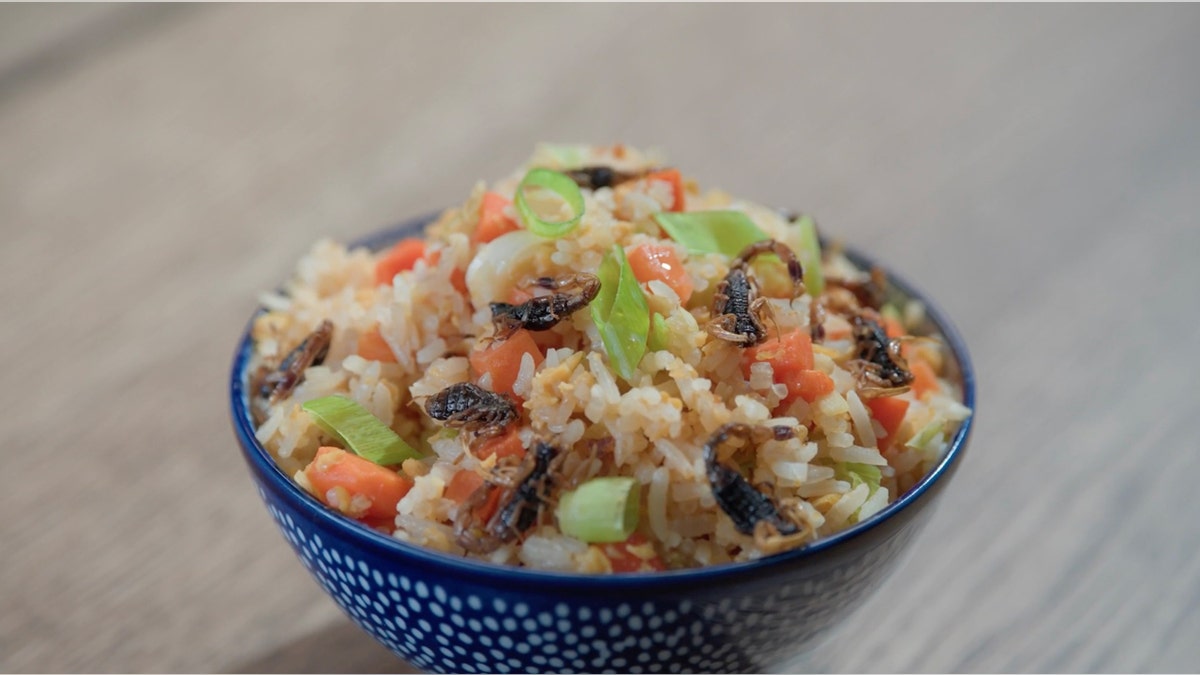 Scorpions are an ingredient in this bowl of fried rice.