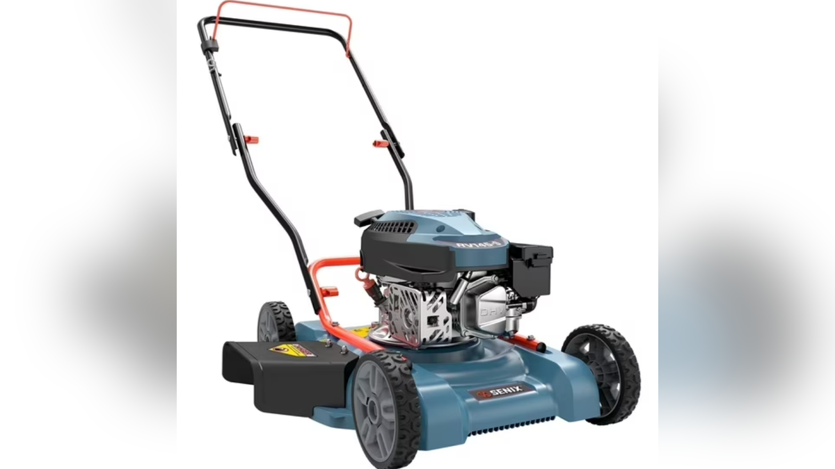 Grab this push mower on sale.