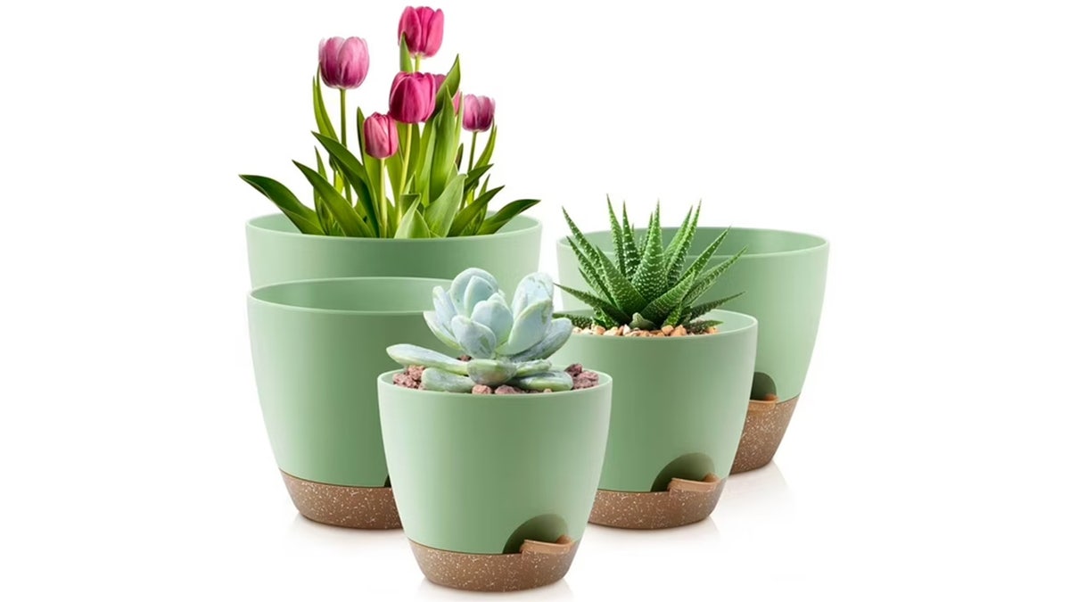 Never overwater plants again with these pots.