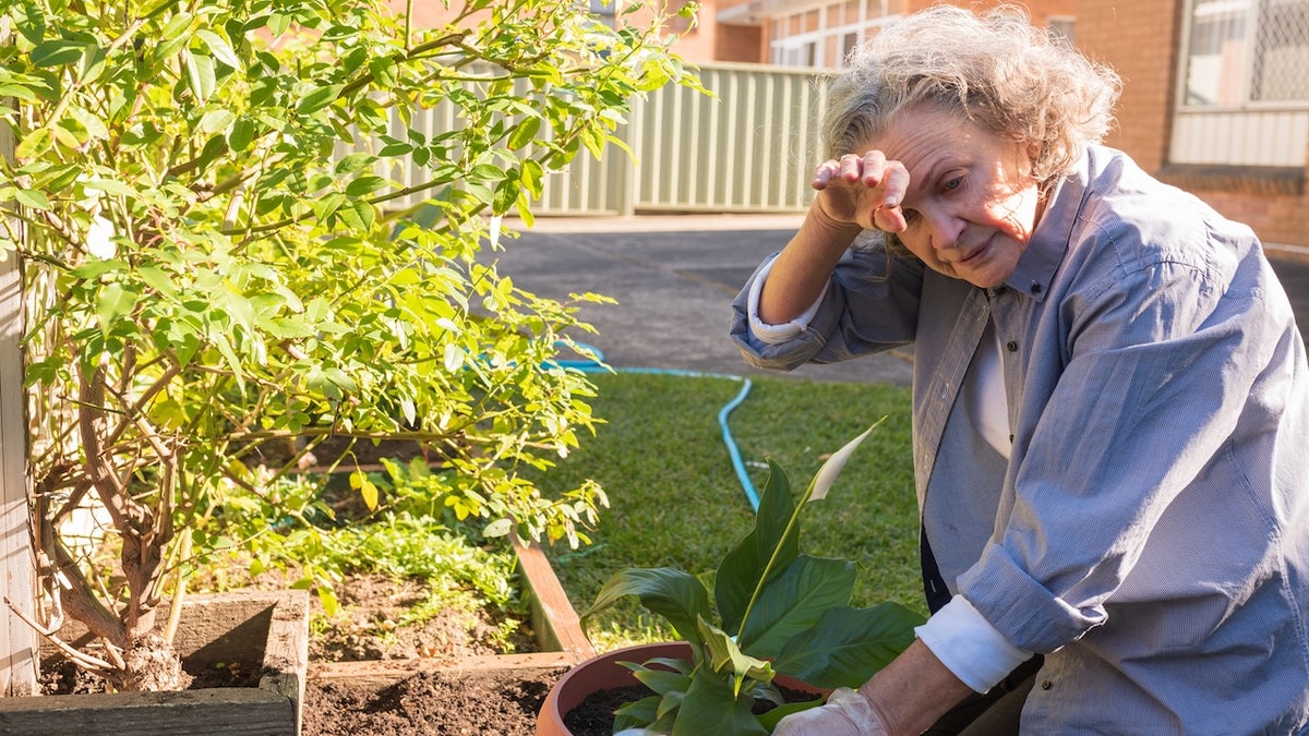 Senior woman overheated while gardening