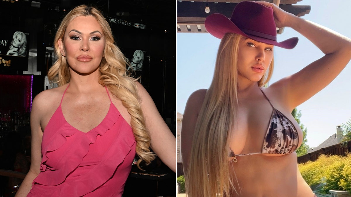 A split of Shanna Moakler in a pink dress and her in a bikini and a cowboy hat.