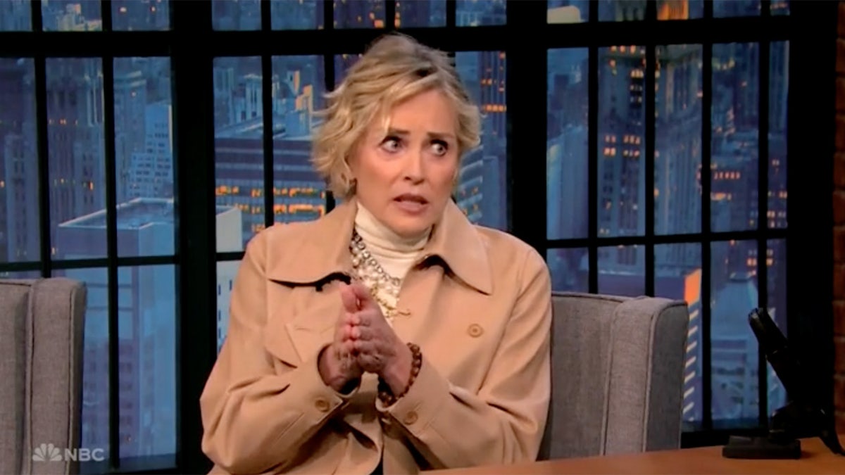 "Nobody 2" actress Sharon Stone