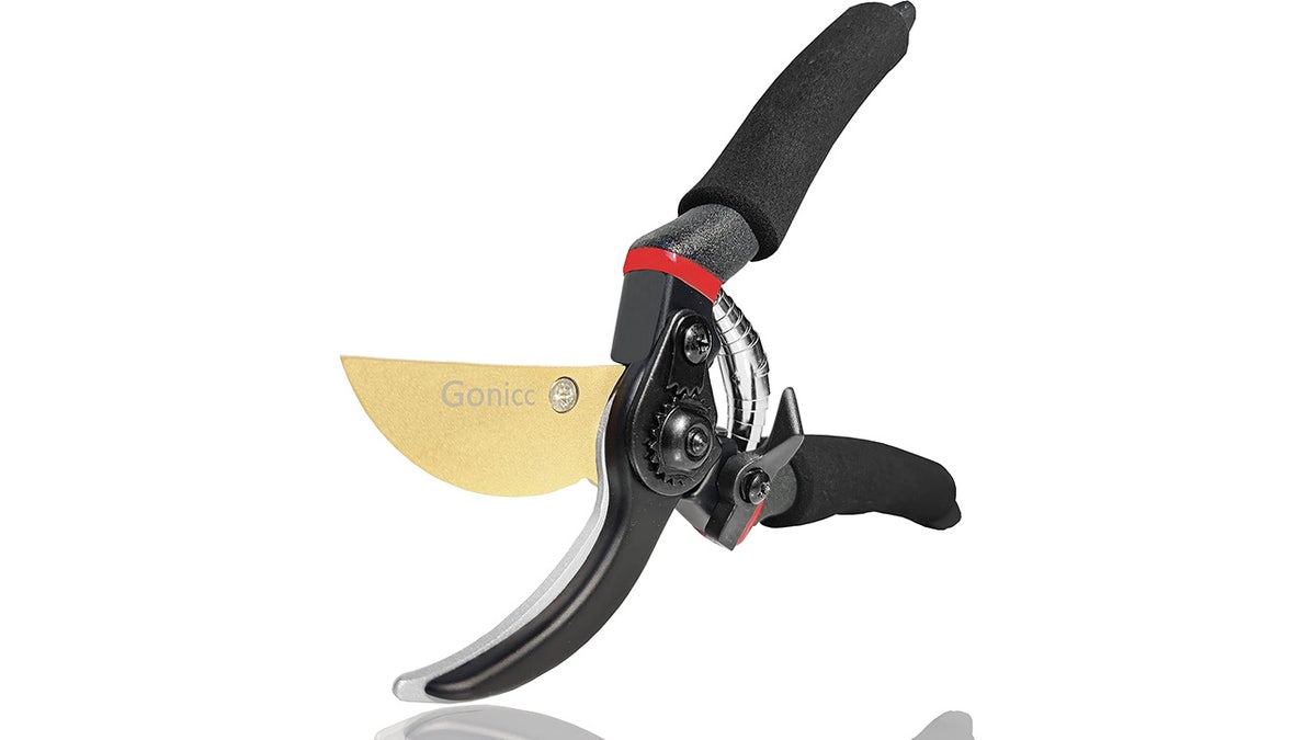 Shears help you cut thicker stems.