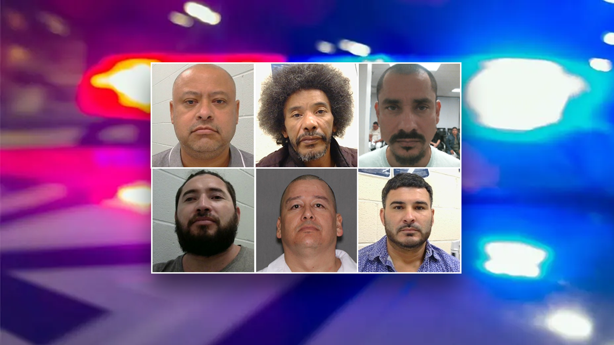 6 criminal aliens nabbed in Houston ICE raids boast startling number of convictions 6 criminal aliens nabbed in Houston ICE raids boast startling number of convictions