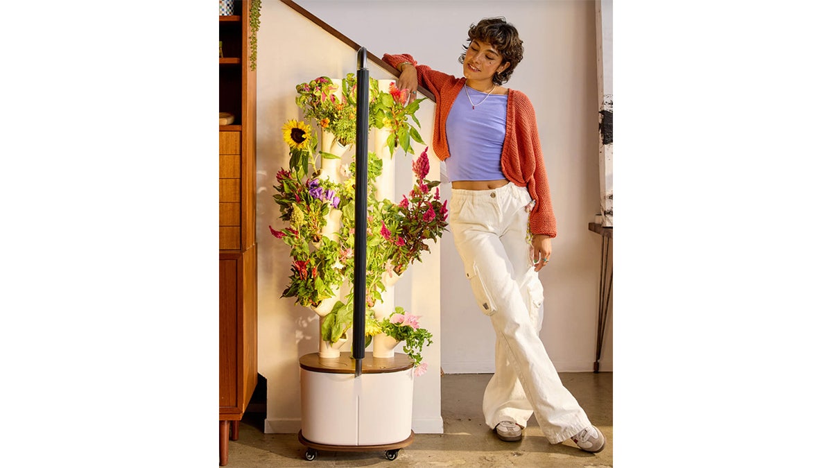 Grow a big garden inside with this system.