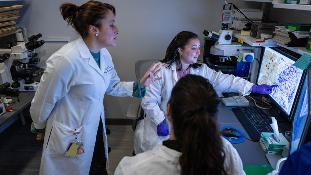 Researchers in lab
