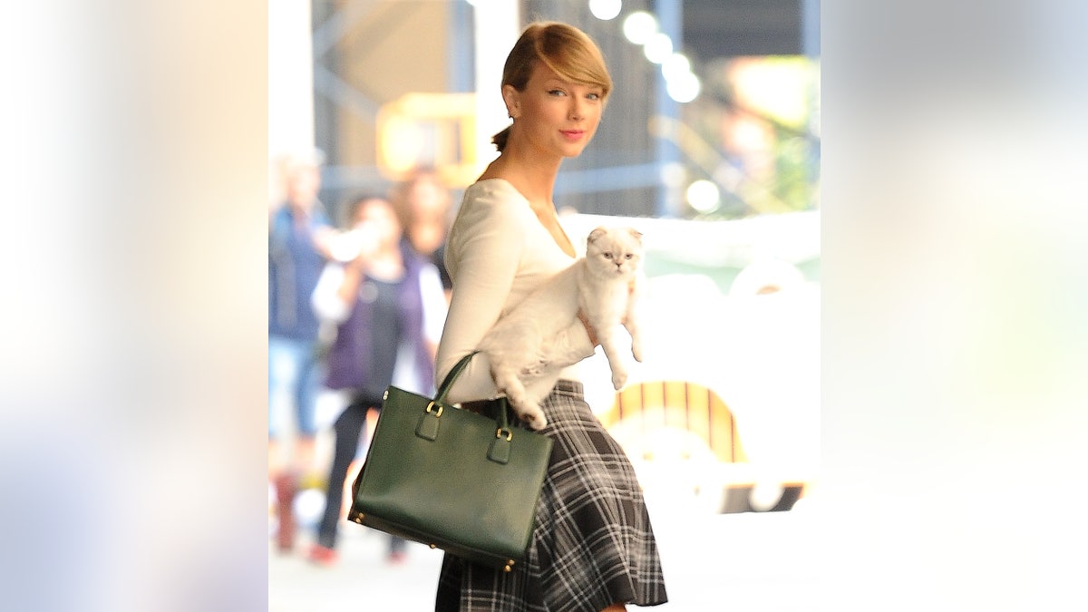 Taylor Swift holds cat