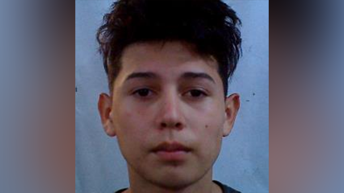 Javier Lopez Tinoco, 20, of Honduras, is charged with stabbing a person at an Alabama soccer game.