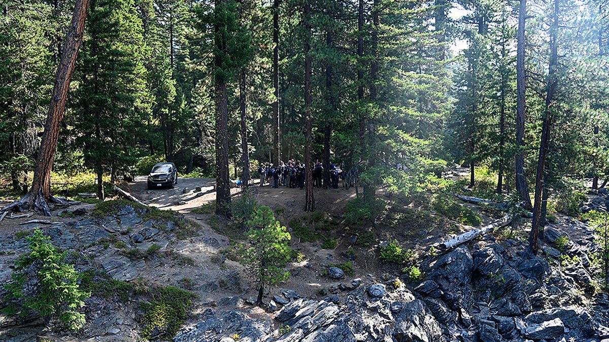 law enforcement agencies searching forested area