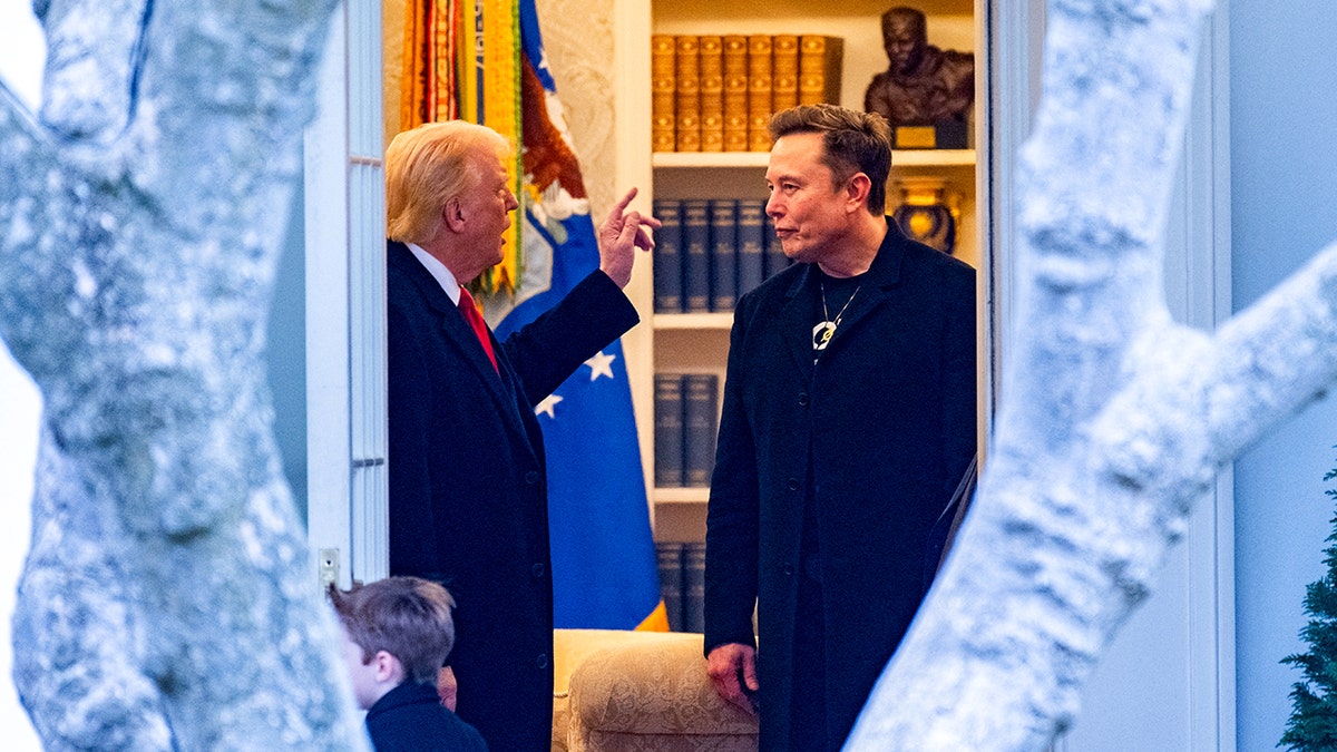 Trump and musk talk at the White House