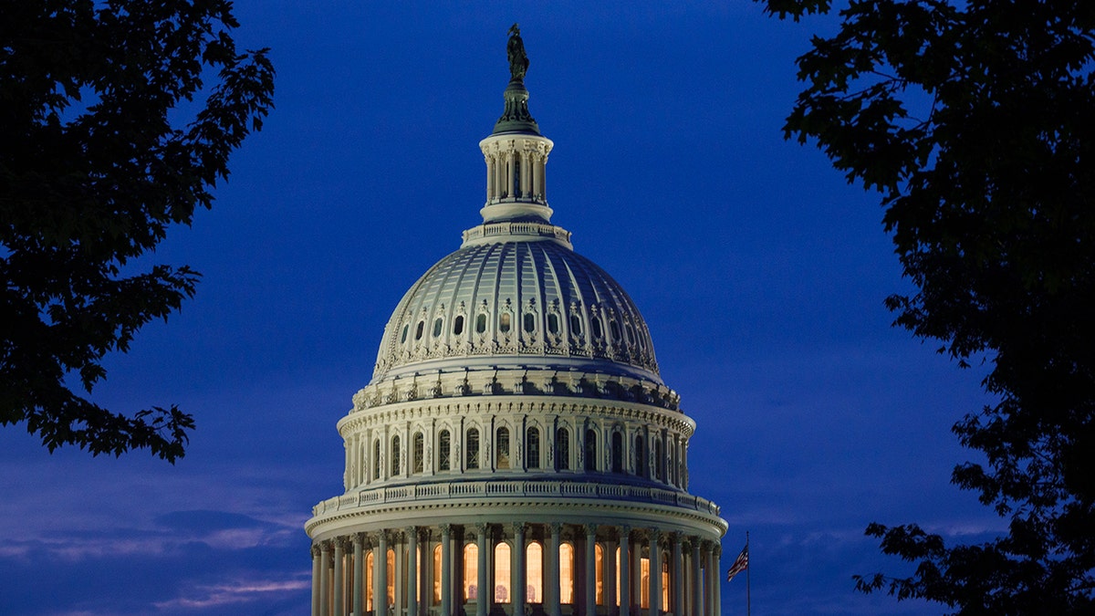 American Capitol