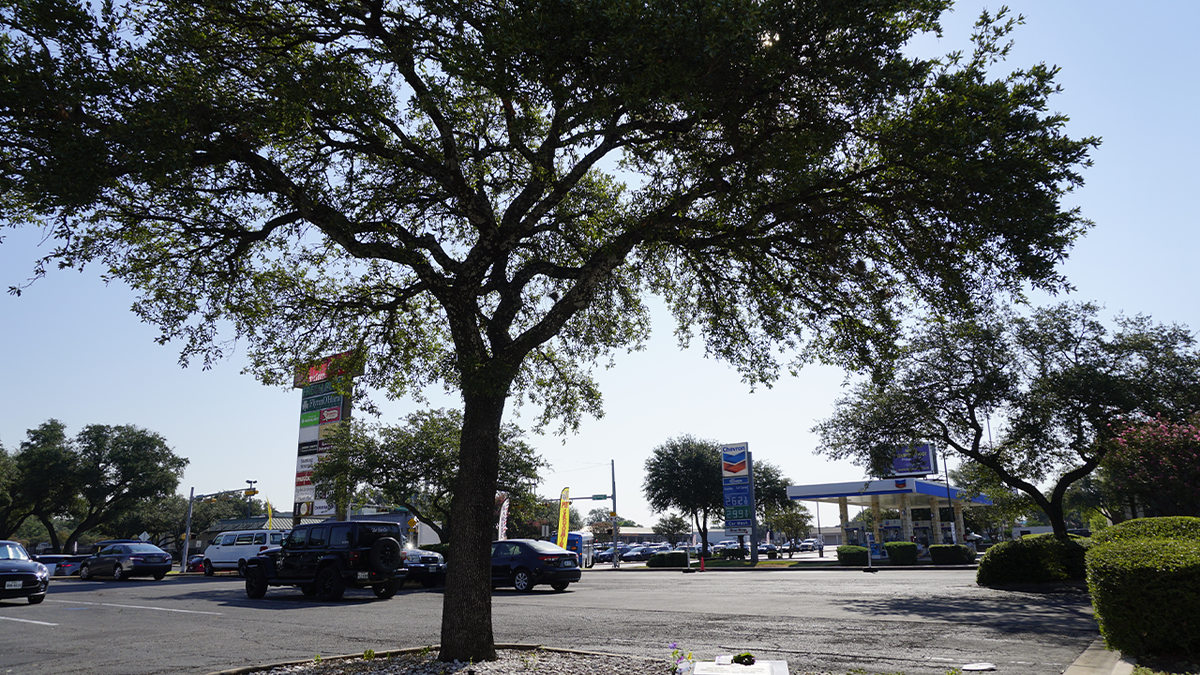 Scene of 1991 cold case murder in Austin