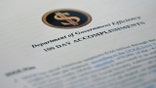 DOGE 100 days report