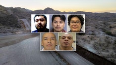 ICE hauls in illegal immigrants convicted of child crimes in nationwide Wednesday sweep: 'clear message'