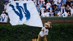 Baseball fan goes viral for working on laptop during Cubs' win over Brewers