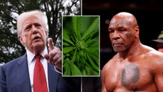 Mike Tyson says whether he fights again depends on federal marijuana legalization and rescheduling