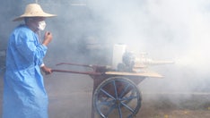 CDC warns of 'enhanced' virus risk for travelers amid outbreak spread by mosquitoes