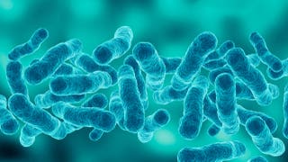 First death reported in Upper East Side Legionnaires' disease outbreak as cases rise to 67