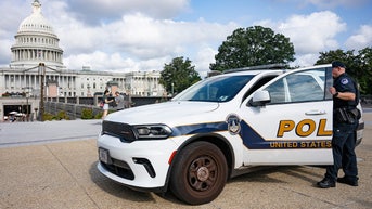 Armed suspect stopped at US Capitol as investigators race to determine motive - Fox News