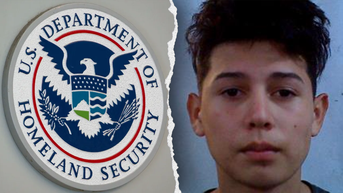 Illegal alien with criminal past goes on rampage at sports event: DHS - Fox News